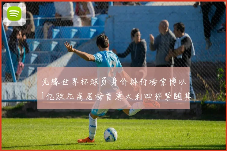 无缘世界杯球员身价排行榜索博以1亿欧元高居榜首意大利四将紧随其后